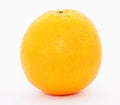 Navel Orange