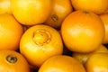 Navel oranges