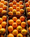 Navel oranges for sale Royalty Free Stock Photo