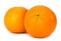 Navel oranges on white background Royalty Free Stock Photo