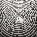 Navigating The Labyrinth Of The Mind