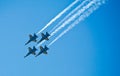 NAVY Blue Angels