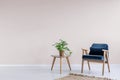 Navy blue armchair with wooden frame in a trendy living room interior with an empty pink wall and copy space for a bookcase. Real