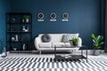 Navy blue living room interior Royalty Free Stock Photo