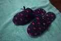 Pink and navy blue heart slippers