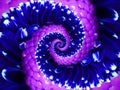 Navy blue violet flower spiral abstract fractal effect pattern background. Floral spiral abstract pattern fractal. Incredible navy
