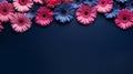 Navy Gerbera Daisies On Dark Background - Preppy Aesthetic