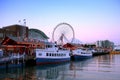 Navy pier Chicago Royalty Free Stock Photo