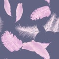 Navy Tropical Art. Coral Seamless Exotic. Cobalt Pattern Texture. Pink Banana Leaves. Blue Wallpaper Hibiscus.