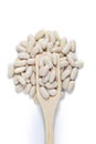 Navy White Kidney Beans (Navy beans), Cannellini beans with wooden spoon Royalty Free Stock Photo