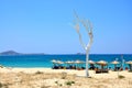 Naxos landscape near sea, beach with umbrellas and white tree Royalty Free Stock Photo