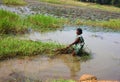 Old Indian women cleaning garbage from lake. Cleaning the garbage from the water bank