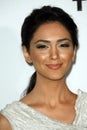 Nazanin Boniadi Royalty Free Stock Photo