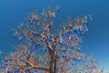 Evil eye tree over blue sky, traditional Turkish talisman beads, luck bringing souvenirs