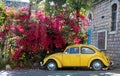 NAZARET, ISRAEL - 14 JUNE 2019: Yellow Volkswagen Beetle vintage car parked in a street near pink blossomed bushes at the city