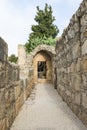 The ruins of a monastery of Byzantine times in the territory of the catholic Christian Transfiguration Church located on Mount Royalty Free Stock Photo