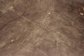 Nazca Lines Royalty Free Stock Photo