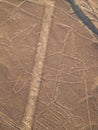 Nazca Lines Royalty Free Stock Photo