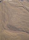 Nazca Lines