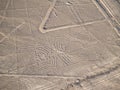 Nazca Lines Royalty Free Stock Photo