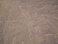 Nazca Lines