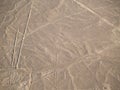 Nazca Lines