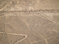 Nazca Lines Royalty Free Stock Photo