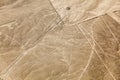 Nazca lines, the condor Royalty Free Stock Photo