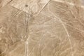 Nazca lines, the condor Royalty Free Stock Photo