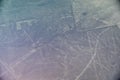 Nazca lines - The Condor Royalty Free Stock Photo