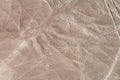 Nazca Lines, Condor figure visible Royalty Free Stock Photo