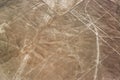 Nazca Lines Condor Royalty Free Stock Photo