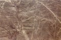 Nazca Lines - The Condor, southern Peru Royalty Free Stock Photo