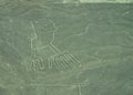 Nazca Lines: The Hands