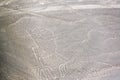 Nazca Lines Hands Royalty Free Stock Photo