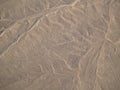 Nazca Lines (Monkey)