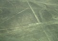 Nazca Lines: The Parrot