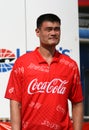 NBA player Yao Ming at NASCAR's Coca Cola 600 Royalty Free Stock Photo