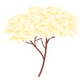 NBlooming elderberry AME icon, cartoon style