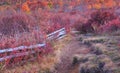 NC Path at Graveyard Fields in Autumn