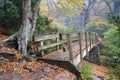 NC Pedestrian Footbridge Autumn Rain Royalty Free Stock Photo