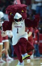 2014 NCAA Basketball - Spirit Squad