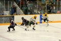 NCAA Hockey Game