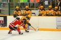 NCAA Hockey Game