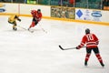 NCAA Hockey Game