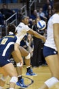 NCAA Volleyball 2014 - Baylor - WVU Royalty Free Stock Photo