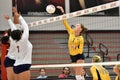 2015 NCAA Volleyball - Kent State and Morgan State