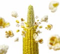 Ncob explodes and produces popcorn healthy vegetarian food Royalty Free Stock Photo