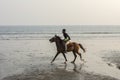 2nd February, 2022, Digha, West Bengal, India: An young horse rider riding horse on beach at sunset Royalty Free Stock Photo