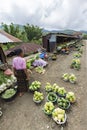 Vegetables for sale